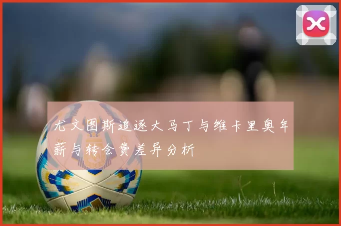 尤文图斯追逐大马丁与维卡里奥年薪与转会费差异分析