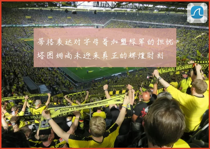 蒂格表达对字母哥加盟绿军的担忧塔图姆尚未迎来真正的辉煌时刻