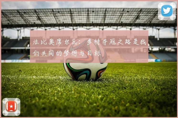 法比奥席尔瓦：多特夺冠之路是我们共同的梦想与目标